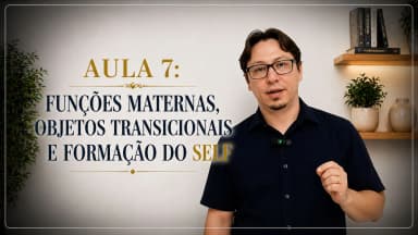 Thumbnail Aula 7: Funções maternas, objetos transicionais e formação do self